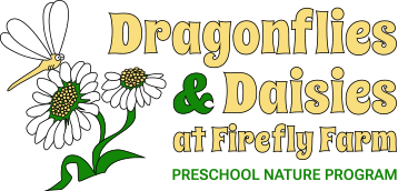 Dragonflies and Daises Preschool Nature Program