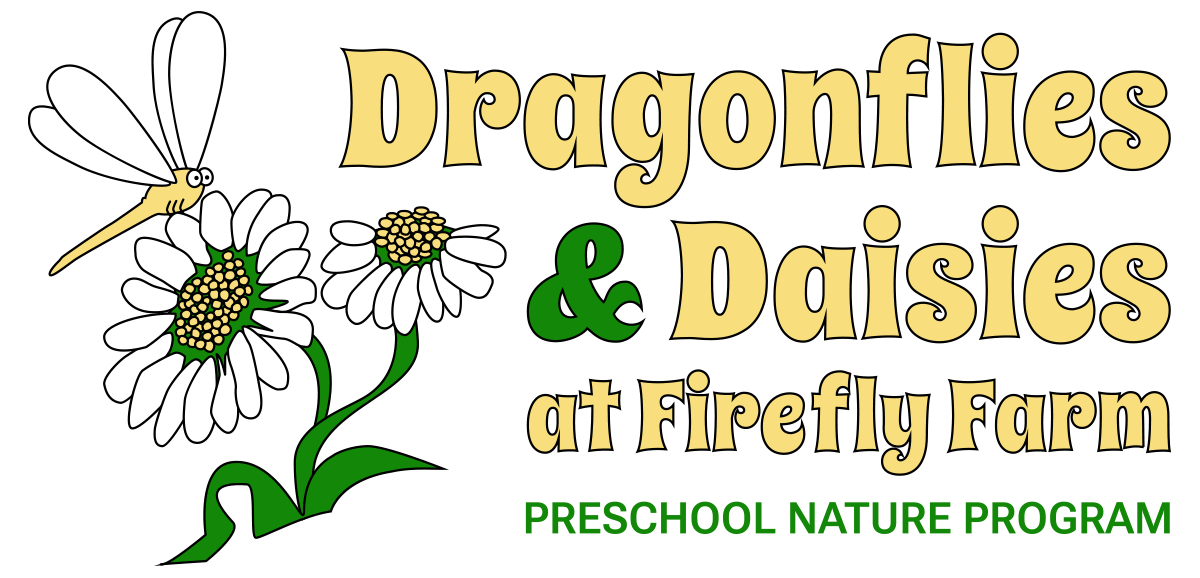 Dragonflies and Daisies at Firefly Farm