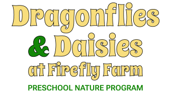 Dragonflies and Daisies at Firefly Farm